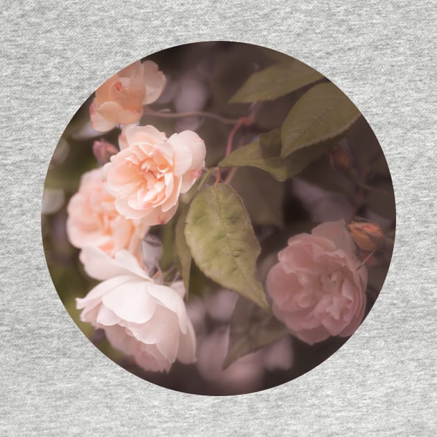 Peach Vintage Roses Circle Sticker by Amy-K-Mitchell